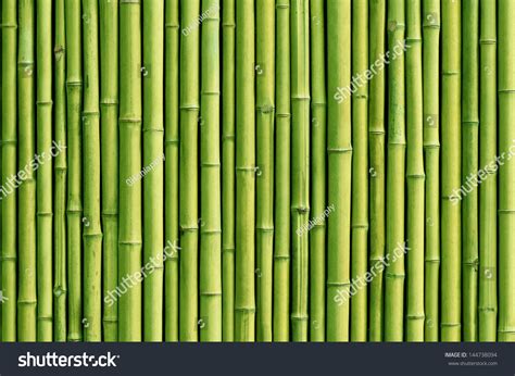 Green Bamboo Fence Background Stock Photo Shutterstock