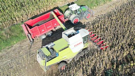 Claas Lexion Tt Bei Der Sonnenblumen Ernte Abfahrer Fendt Mit