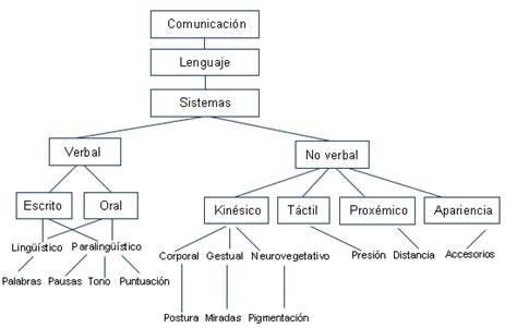 Arriba 55 imagen modelo de la comunicación de aristóteles Abzlocal mx