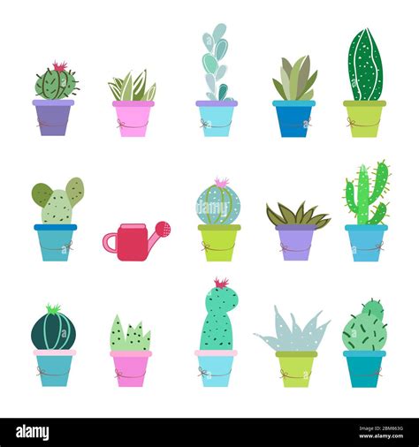 Succulent Plant And Cactus Pots Vector Illustration Background Stock