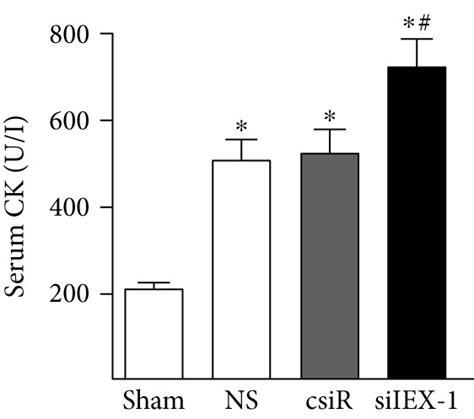 siRNA repression of IEX 1 exacerbates myocardial infarction 5 μg csiR