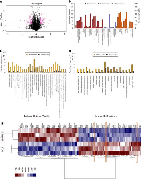 Proteomic And Bioinformatic Analysis Of Identified Proteins A A Total