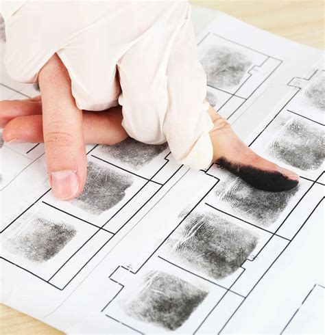 Forensic Science Fingerprinting Worksheet