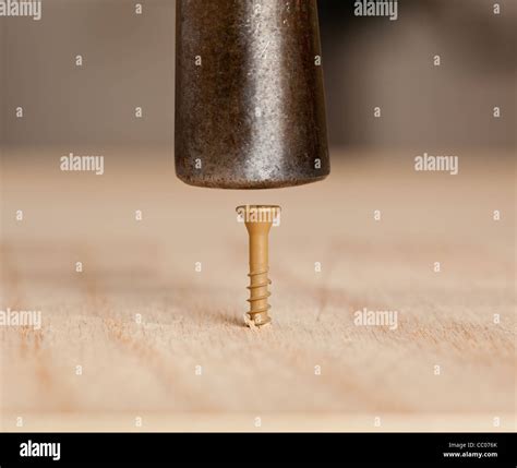 Hammer Head Hi Res Stock Photography And Images Alamy