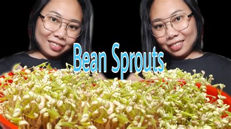 How To Grow Bean Sprouts At Home Paano Magpatubo Ng Togue Sa Bahay