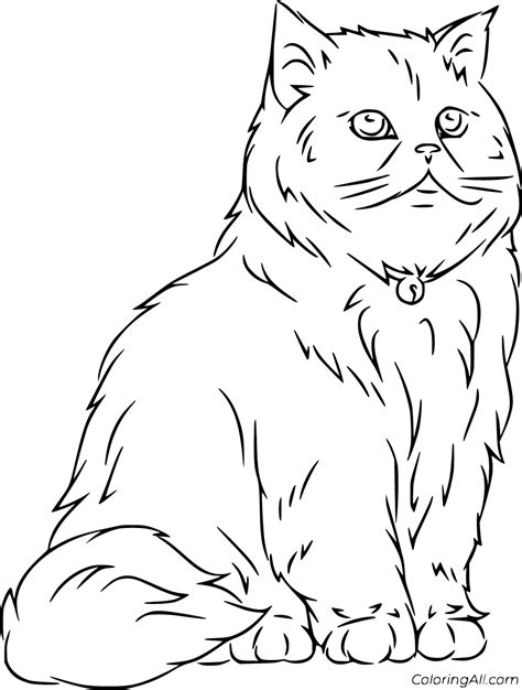 Realistic Cat Coloring Pages Coloringall The Best Porn Website