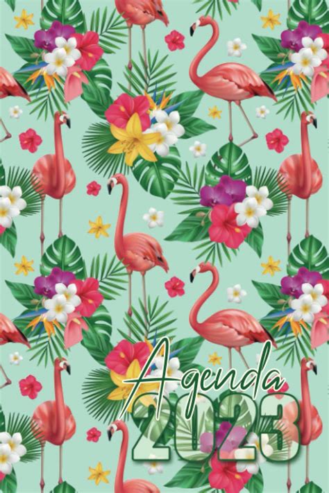 Agenda Semainier Organisateur Semaine Sur Pages Planner