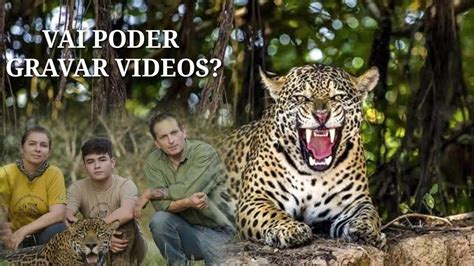 Instituto Onça Pintada vai poder gravar videos animais YouTube