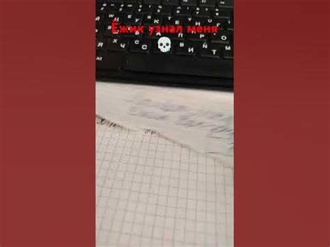Ёжик узнал меня #meme - YouTube