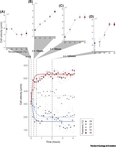 Beyond Reaction Norms The Temporal Dynamics Of Phenotypic Plasticity