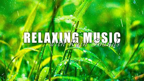 Relaxing Music With Rain Sounds Soft Music Calms The Nervous System