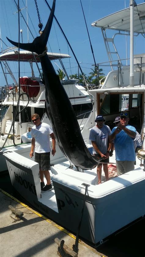 20 Blue Marlin Fishing Kona Hawaii Hooked Up