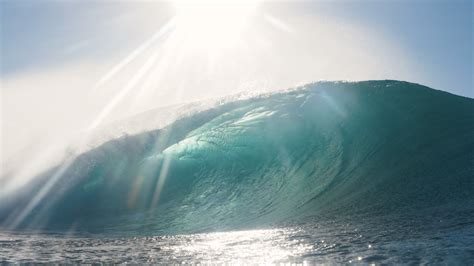 Save The Waves 赢得 Rivian 基金会的支持，以保护加州及其他地区的冲浪生态系统 Save The Waves