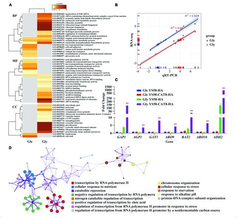 Rna Seq Analysis Of Yeast Strain In Response To External Nutritional