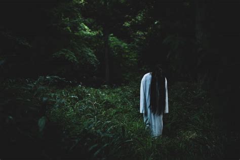 Haunted Forest Japan Stock Photos, Pictures & Royalty-Free Images - iStock