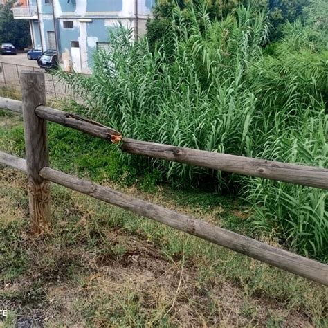 La Denuncia Di Un Lettore La Pista Ciclabile Del Ponte Capacchietti