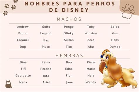 Nombres De Perritas De Disney Bazaarstory