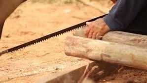 How To Cut Wood Without A Saw Giant Tech Blog