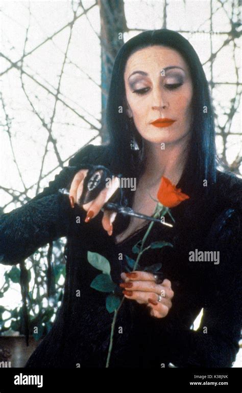 Who Played Morticia Addams 1991 - Trend Meme