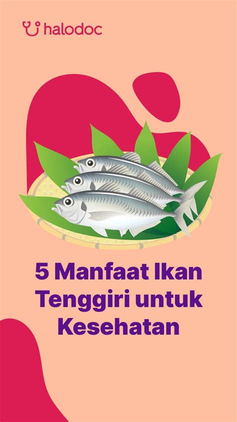 Kaya Nutrisi Ini 5 Manfaat Ikan Tenggiri Untuk Kesehatan