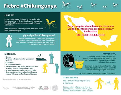 Infograf A Qu Es La Fiebre Chikungunya Secretar A De Salud