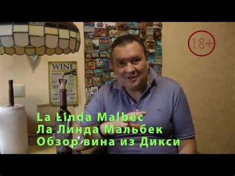 La Linda Malbec. Ла Линда Мальбек обзор вина - YouTube