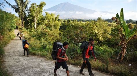 Pendakian Gunung Rinjani Dan Tambora Dibuka Ini Syarat Wajib Bagi Pendaki