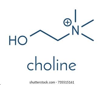 Choline Essential Nutrient Molecule Skeletal Formula Stock Vector