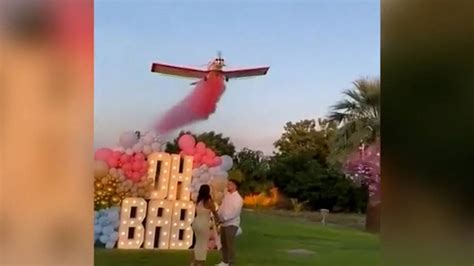 Plane Crashes During Gender Reveal Party In Mexico Killing Pilot National Globalnewsca