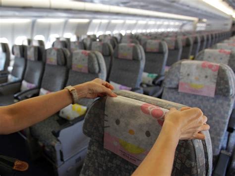 board   kitty plane business insider