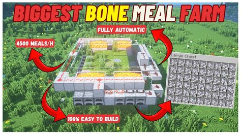 How To Make A Bone Meal Farm In Minecraft Step By Step Guide Youtube