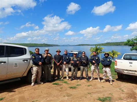 Prf E Icmbio Realizam Operação Contra Crimes Ambientais — Polícia