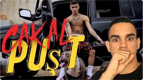 Cakal Puşt Official Music Video 🔥turkish Reaction 🇹🇷 🔥 🔥giveaway🔥 ⬇️ Check The Description