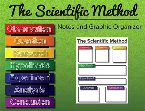 Scientific Method Notes And Graphic Organizer Scientific Method Scientific Method Graphic