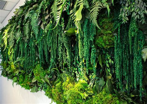 Green Moss Walls Greenscape Design Decor