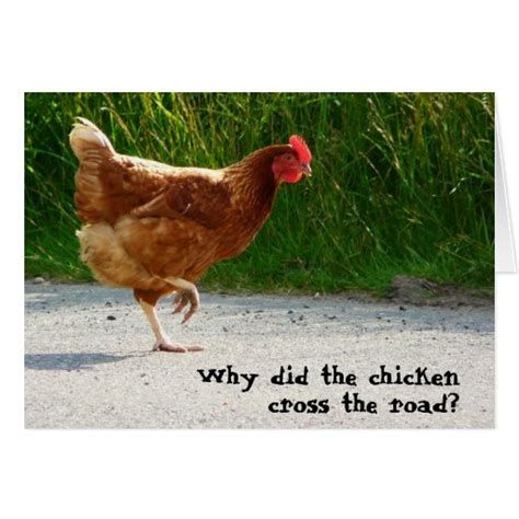 Why Did The Chicken Cross The Road Zazzle