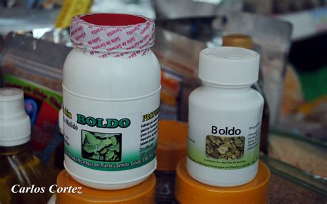 Feria De La Medicina Natural Promueve El Consumo Del Boldo Y La S Bila