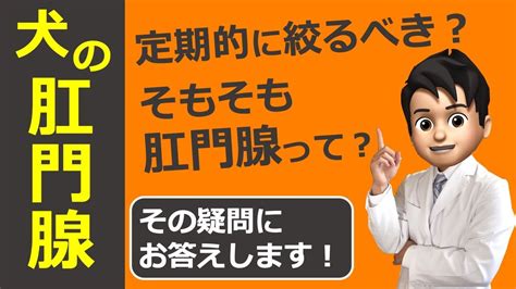 【犬の肛門腺】絞った方がいい？犬の肛門腺 Youtube