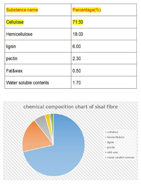 Textile Adviser: SISAL FIBRE, CULTIVATION AND USES