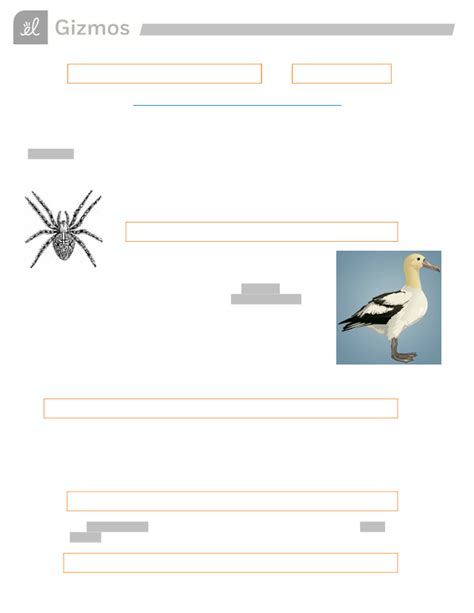 Dichotomous Keys Gizmo Answer Key A Comprehensive Guide • Suggested