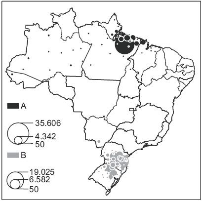 Extrativismo vegetal no Brasil história produtos e cenário atual