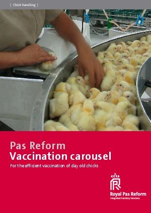 Vaccination Carousel Chick Handling Royal Pas Reform Integrated