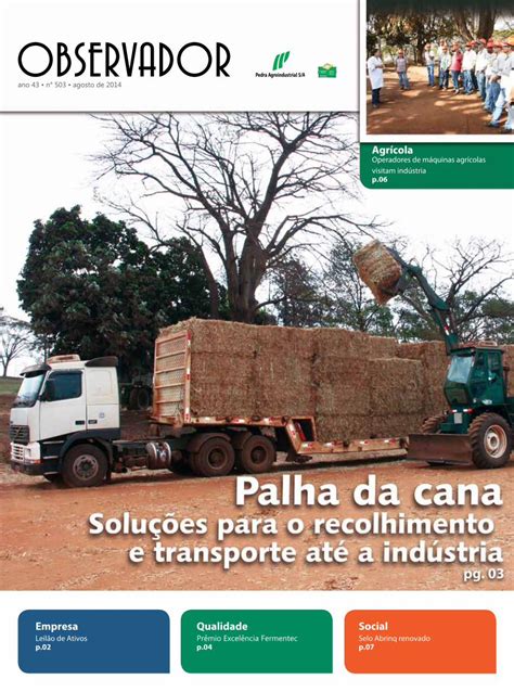 Pdf Observador Pedra Agroindustrial · O Uso De Palha Da Cana Para Produção De Energia