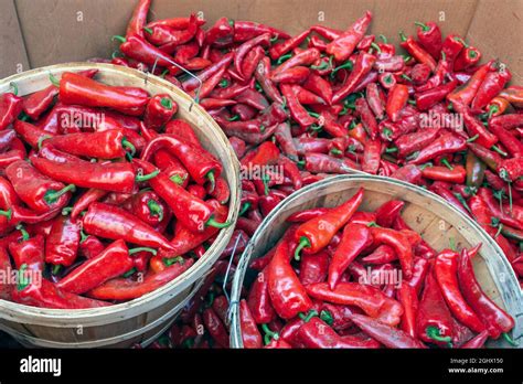 A Harvest Of Baskets Of Fresh Red Hot Chilli Peppers Are Seen At The Market Stock Photo Alamy