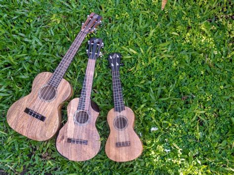 Best Ukulele For Beginners Ferangeli Guitar Handcrafter