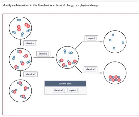 Solved Identify each transition in this flowchart as a | Chegg.com