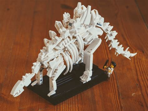 Stegosaurus Skeleton I Made From The Pieces Of The Lego Dinosaur Fossils Set 21320 R Lego