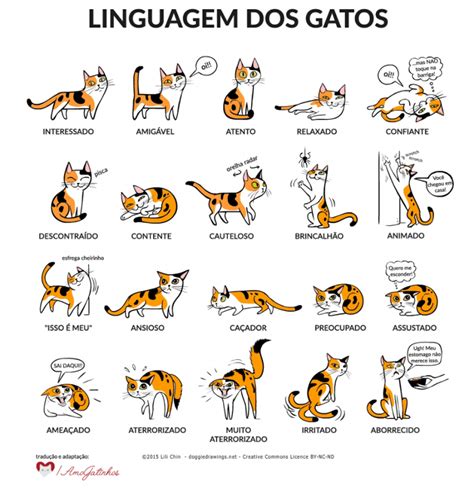 Linguagem Dos Gatos