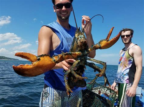 Getting Started With Recreational Lobstering My Fishing Cape Cod