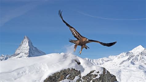 Nature Winters Fortress The Alps Twin Cities Pbs